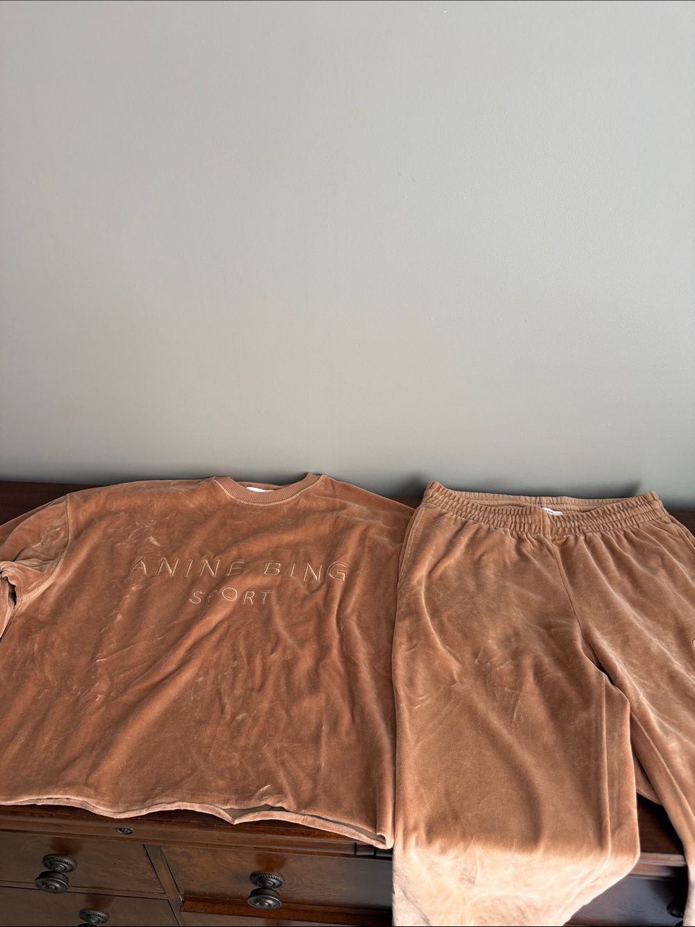 Anine Bing Velour Sweat Set in Dusty Tan